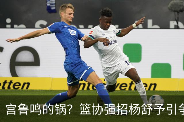 宫鲁鸣的锅？篮协强招杨舒予引争议：以后谁还敢签中国球员？